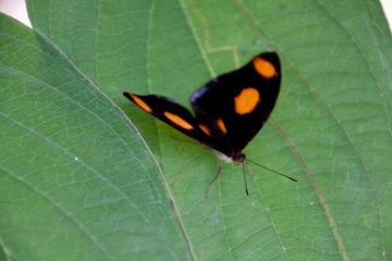 19022012-46.jpg
