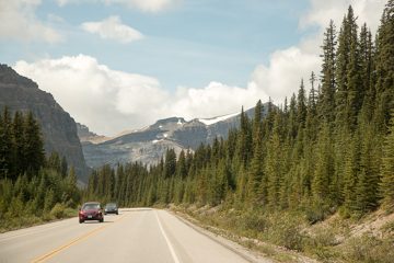 IMG_0313