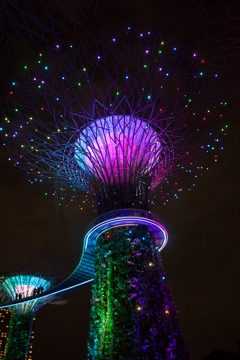 IMG_9782