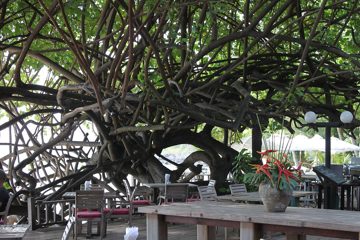 IMG_0707.jpg