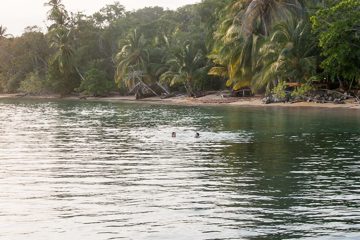 IMG_5385
