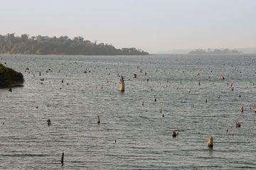 IMG_5197
