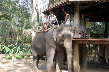 IMG_0494.jpg