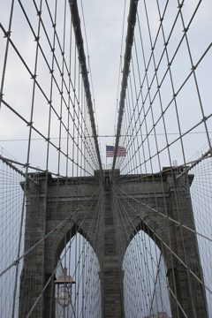 IMG_1427.jpg