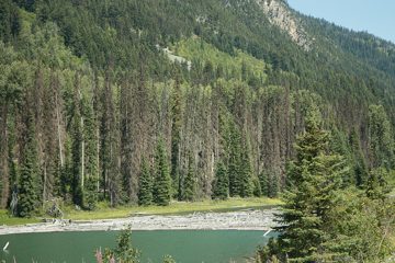 IMG_9863