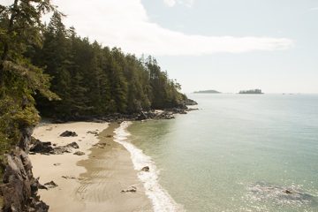 IMG_0881