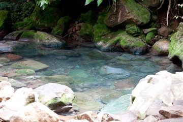 24022012-237.jpg
