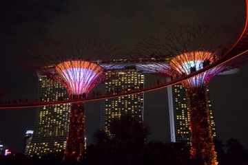 IMG_9781