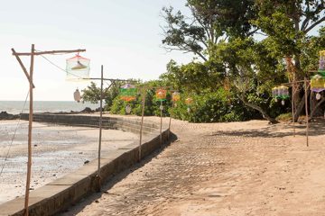 IMG_1048