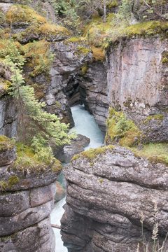 IMG_0008