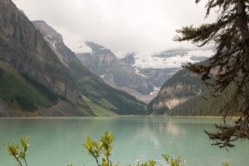 IMG_0253