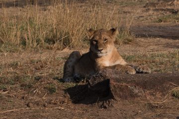IMG_7278
