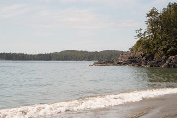 IMG_0902