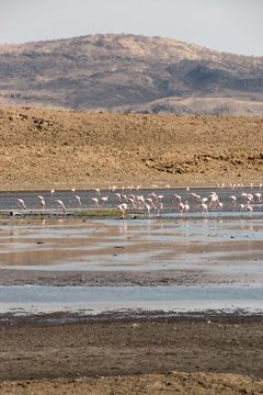 IMG_6892
