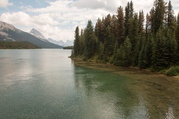 IMG_0049