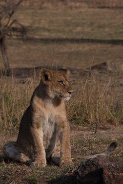 IMG_7275