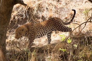 IMG_7144