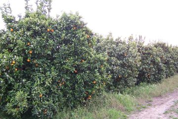100_2153.jpg