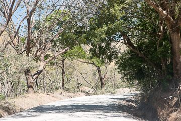 IMG_8651