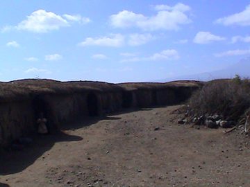 DSC00393.jpg