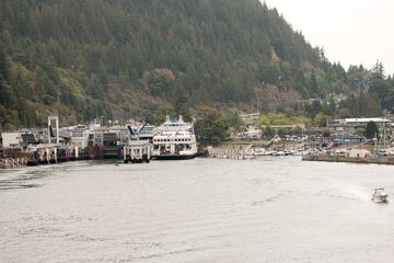 IMG_0620