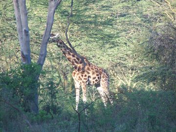 100_1461.jpg