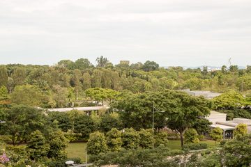 IMG_9744