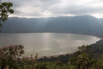 IMG_6576