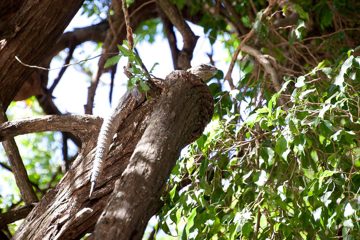 28022012-104.jpg