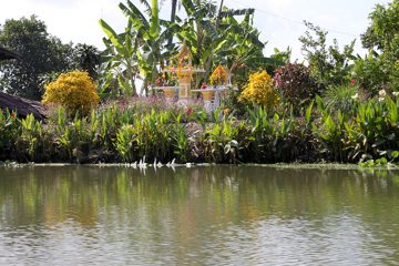 IMG_0255.jpg