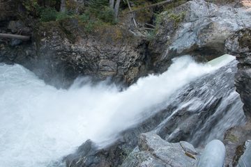 IMG_9847