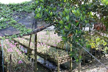 IMG_0214.jpg