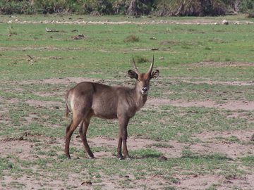 100_1131.jpg