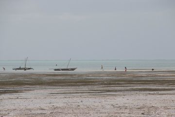 IMG_7890