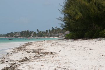 IMG_7846