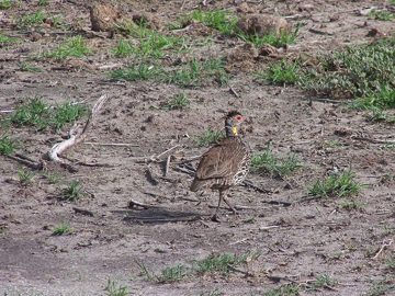 100_1133.jpg