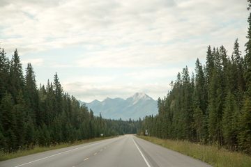IMG_0613
