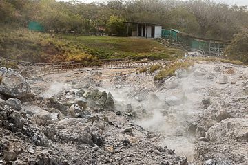 IMG_8806