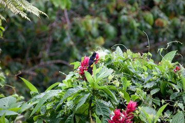 22022012-221.jpg