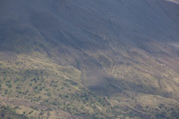 IMG_2635.jpg