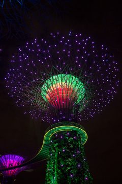 IMG_9775