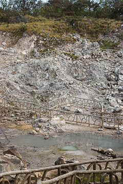 IMG_8798