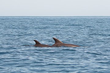IMG_8840