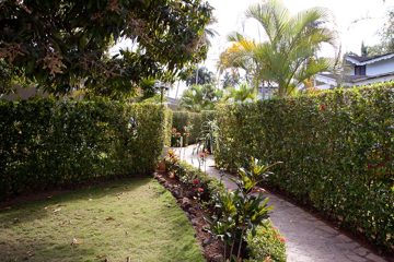 11032013-163.jpg