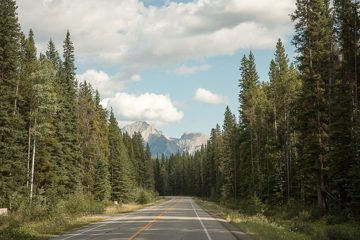 IMG_0545