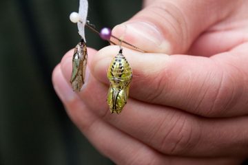 25022012-30.jpg