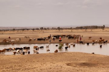 P-IMG_6295-2