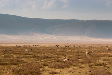 IMG_6392