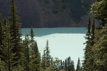IMG_0247