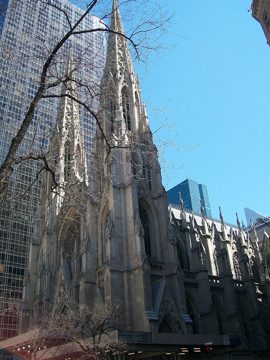 100_0501.jpg